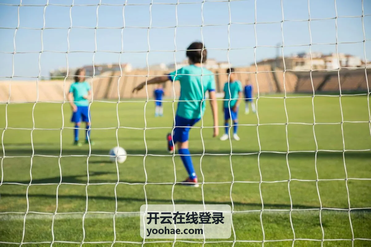 开云在线登录信息核对流程示意图